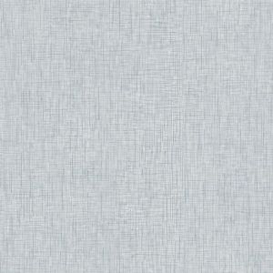 AF6545 ― Eades Discount Wallpaper & Discount Fabric