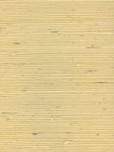  AJ111  ― Eades Discount Wallpaper & Discount Fabric