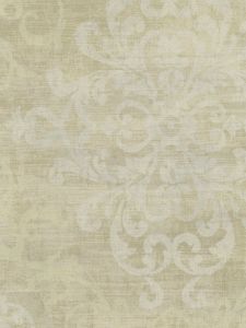 AN40008  ― Eades Discount Wallpaper & Discount Fabric