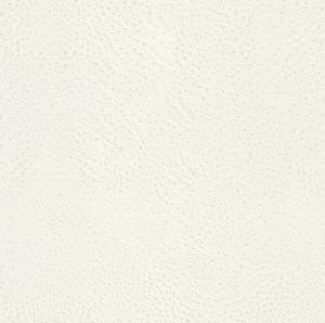 AQ423655 ― Eades Discount Wallpaper & Discount Fabric
