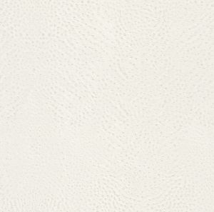 AQ423655 ― Eades Discount Wallpaper & Discount Fabric