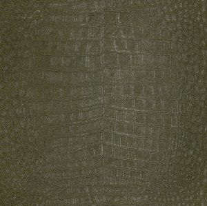 AQ474121 ― Eades Discount Wallpaper & Discount Fabric