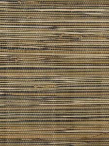 AS534  ― Eades Discount Wallpaper & Discount Fabric