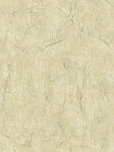 AS70800  ― Eades Discount Wallpaper & Discount Fabric