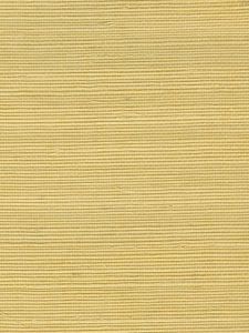  AST1582  ― Eades Discount Wallpaper & Discount Fabric