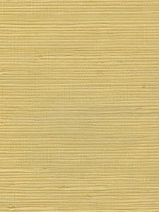 AST1769  ― Eades Discount Wallpaper & Discount Fabric