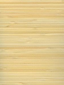 AST1879  ― Eades Discount Wallpaper & Discount Fabric