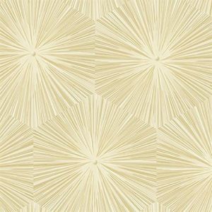 AV51105 ― Eades Discount Wallpaper & Discount Fabric