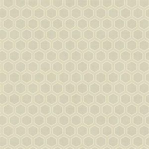 AV51208 ― Eades Discount Wallpaper & Discount Fabric