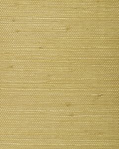 BA419 ― Eades Discount Wallpaper & Discount Fabric