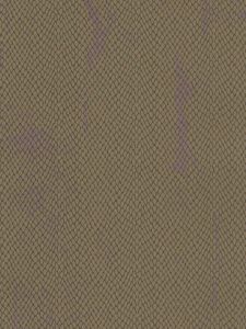 BB42309  ― Eades Discount Wallpaper & Discount Fabric