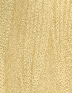 BDP1151W ― Eades Discount Wallpaper & Discount Fabric