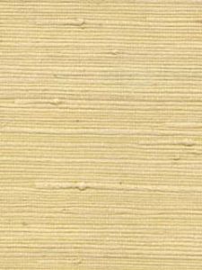 BJ111 ― Eades Discount Wallpaper & Discount Fabric