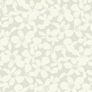 BO6683 ― Eades Discount Wallpaper & Discount Fabric