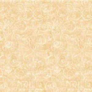 BR6202 ― Eades Discount Wallpaper & Discount Fabric