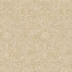 BR6204 ― Eades Discount Wallpaper & Discount Fabric