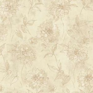 BR6216 ― Eades Discount Wallpaper & Discount Fabric