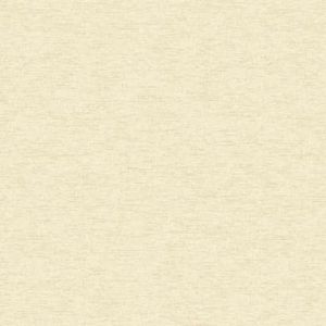 BR6324 ― Eades Discount Wallpaper & Discount Fabric
