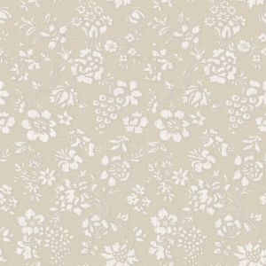 BRL98035 ― Eades Discount Wallpaper & Discount Fabric