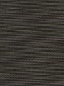  BTN121 ― Eades Discount Wallpaper & Discount Fabric
