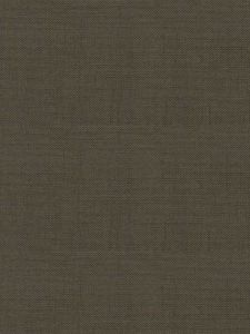 BTN129 ― Eades Discount Wallpaper & Discount Fabric
