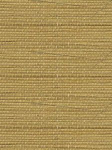  BTN165 ― Eades Discount Wallpaper & Discount Fabric
