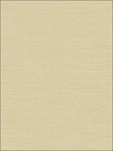  BV30413 ― Eades Discount Wallpaper & Discount Fabric