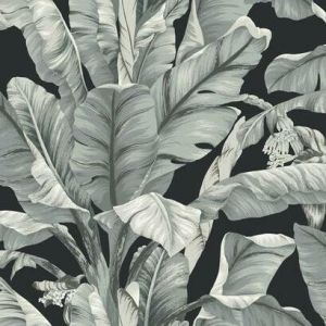 BW3971 ― Eades Discount Wallpaper & Discount Fabric