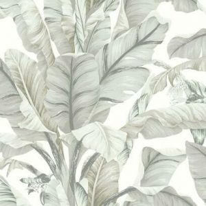 BW3972 ― Eades Discount Wallpaper & Discount Fabric