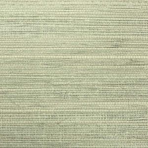 BX10031 ― Eades Discount Wallpaper & Discount Fabric
