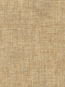 C3520  ― Eades Discount Wallpaper & Discount Fabric