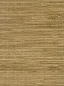 C3521  ― Eades Discount Wallpaper & Discount Fabric