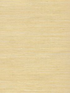 C3523  ― Eades Discount Wallpaper & Discount Fabric