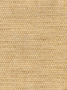 C3529  ― Eades Discount Wallpaper & Discount Fabric