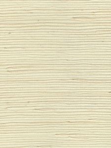 C3545  ― Eades Discount Wallpaper & Discount Fabric
