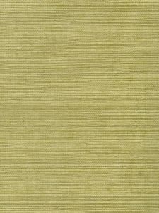 C3565  ― Eades Discount Wallpaper & Discount Fabric
