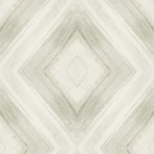 CC1243 ― Eades Discount Wallpaper & Discount Fabric