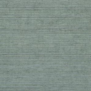 CCP12301 ― Eades Discount Wallpaper & Discount Fabric