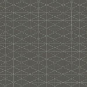 CD1013 ― Eades Discount Wallpaper & Discount Fabric