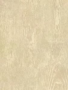 CG11316  ― Eades Discount Wallpaper & Discount Fabric