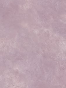 CG13277  ― Eades Discount Wallpaper & Discount Fabric