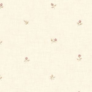 CG28854 ― Eades Discount Wallpaper & Discount Fabric
