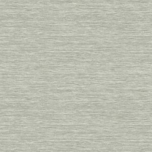 CL2559 ― Eades Discount Wallpaper & Discount Fabric