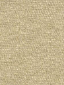 CM100019  ― Eades Discount Wallpaper & Discount Fabric