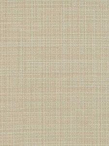  CM100024  ― Eades Discount Wallpaper & Discount Fabric