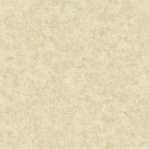 CR2814 ― Eades Discount Wallpaper & Discount Fabric