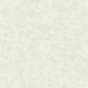 CR2816 ― Eades Discount Wallpaper & Discount Fabric