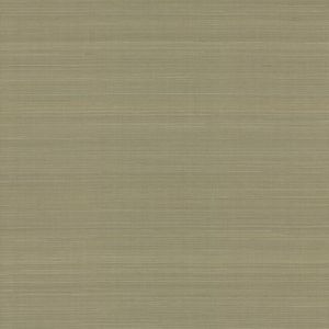 CR9041 ― Eades Discount Wallpaper & Discount Fabric