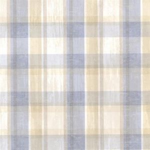 CTR215312 ― Eades Discount Wallpaper & Discount Fabric