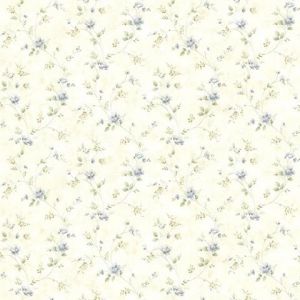 CTR21565 ― Eades Discount Wallpaper & Discount Fabric